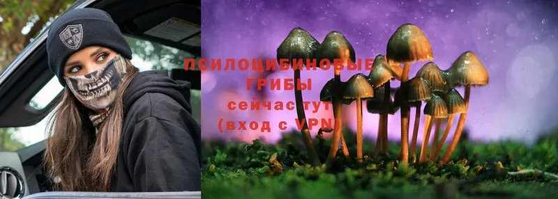 Галлюциногенные грибы MAGIC MUSHROOMS  Бодайбо 